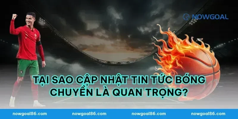 Tại Sao Cập Nhật Tin Tức Bóng Chuyền Là Quan Trọng?