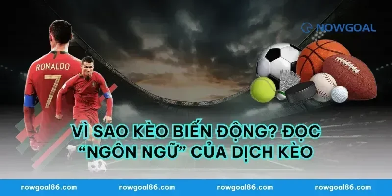 Vì sao kèo biến động? Đọc “ngôn ngữ” của dịch kèo