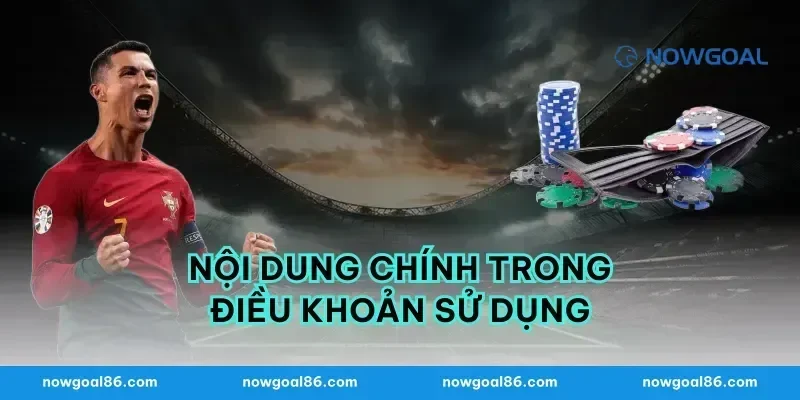 Nội Dung Chính Trong Điều Khoản Sử Dụng