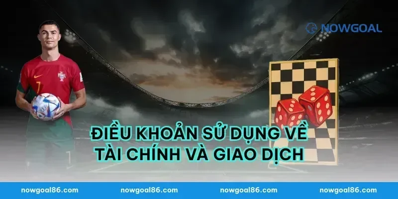 Điều Khoản Sử Dụng Về Tài Chính Và Giao Dịch