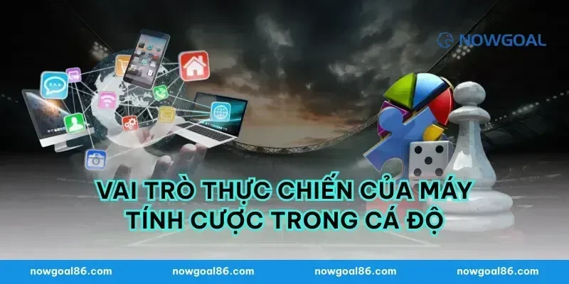 Vai trò thực chiến của máy tính cược trong cá độ