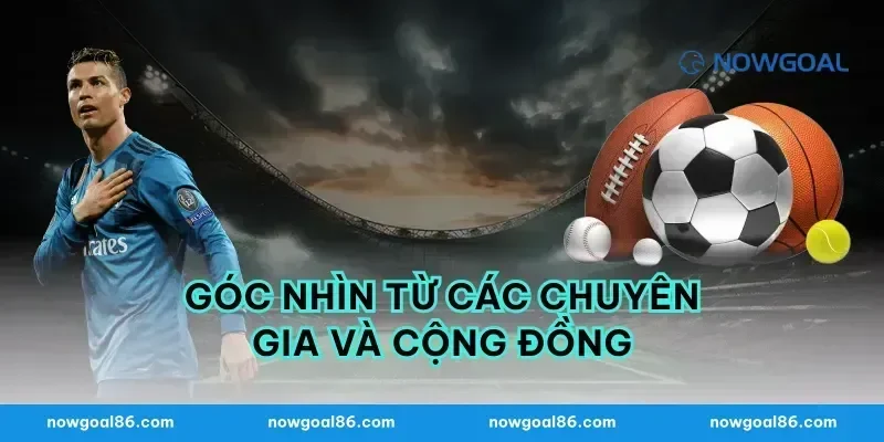 Góc Nhìn Từ Các Chuyên Gia Và Cộng Đồng