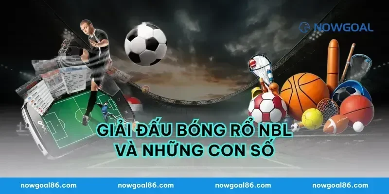 Giải đấu bóng rổ nbl và những con số