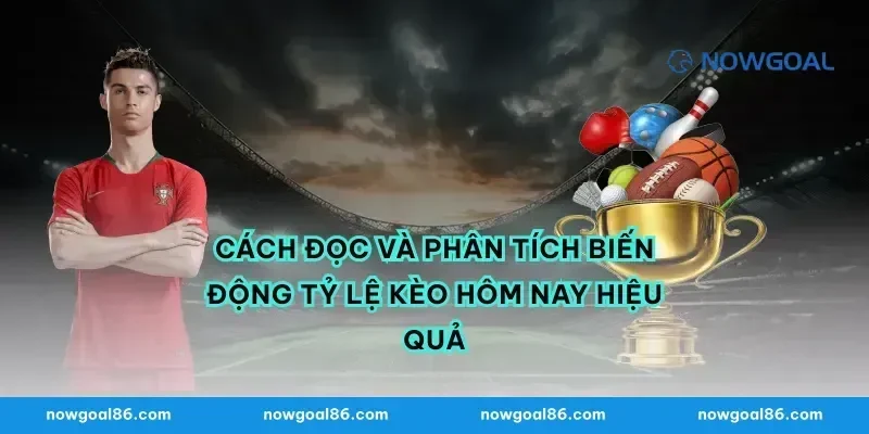 Cách Đọc Và Phân Tích Biến Động Tỷ Lệ Kèo Hôm Nay Hiệu Quả